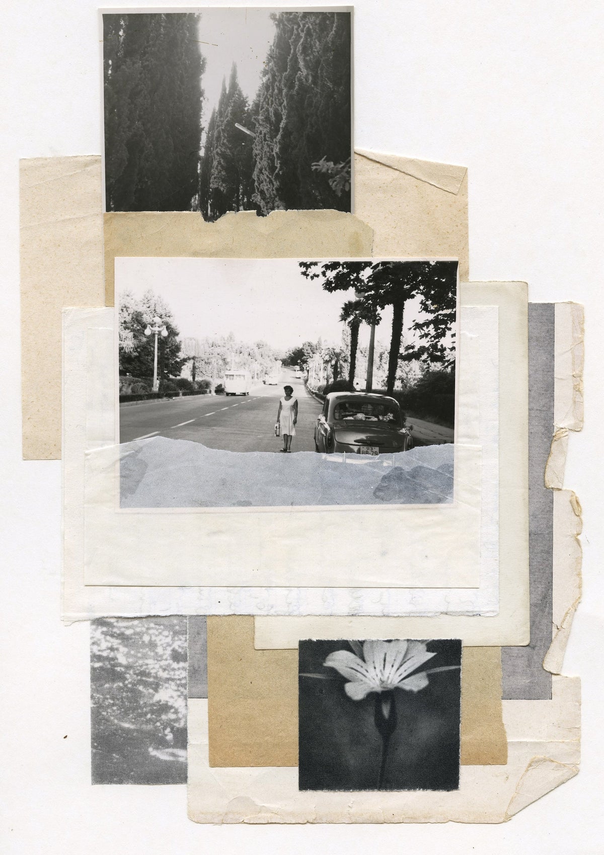 Lilit Matevosyan. Collage. Photography