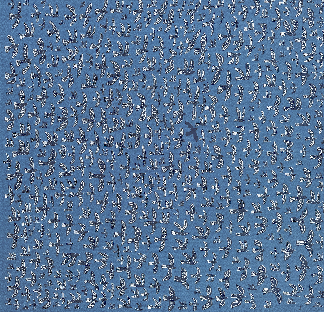Birds in the Sky